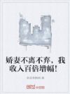 娇妻不离不弃,我收入百倍增幅!