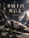 圣骑士的死后文