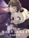 文盲顶流:摆烂三年,火成巨星