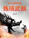 从六合桩开始练成武仙