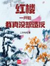 红楼:一开始,我真没想造反